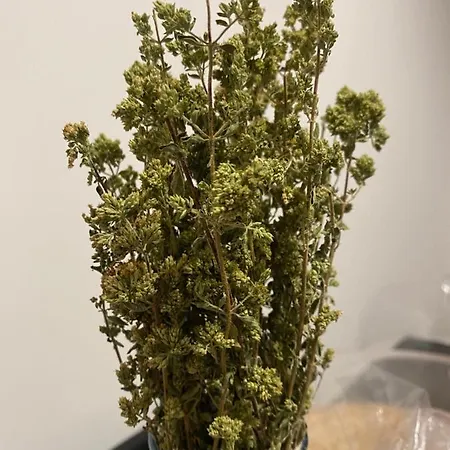 Nocleg ze śniadaniem Co Mo - A Sud - 3*